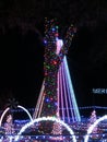 CHRISTMAS LITE SHOW IN THE SOUTH