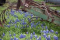 John Deere Plow and Blue Bonnets 2018 Royalty Free Stock Photo