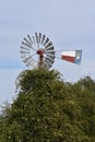Texas Windmill and Yellow Jasmine in Tolar Texas.