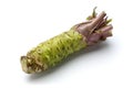 Wasabi Royalty Free Stock Photo