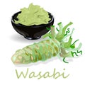 Wasabi Japanese horseradish in black cup illustration on white bacground