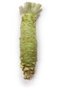 Wasabi, japanese horseradish Royalty Free Stock Photo