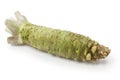 Wasabi, japanese horseradish Royalty Free Stock Photo