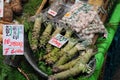 Wasabi plants Royalty Free Stock Photo