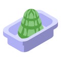 Wasabi portion icon isometric vector. Green wasabi