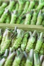 Wasabi root for sale in a typical japanese market Royalty Free Stock Photo