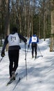 Wasaga Loppet - Feb 14, 2009