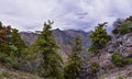 Wasatch Front Rocky Mountains landscape views  foothills of Mt Timpanogos, Mt Mahogany nature hiking trail, by Orem and Provo, Uta Royalty Free Stock Photo