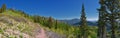 Wasatch Mountain landscape from Primrose Overlook Horse Spring hiking trail Timpanogos Rocky Mountains, Utah. Royalty Free Stock Photo