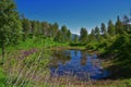 Wasatch Mountain landscape from Primrose Overlook Horse Spring hiking trail Timpanogos Rocky Mountains, Utah. Royalty Free Stock Photo