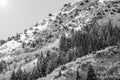 Wasatch Mountain peaks in northern utah in the wintertime