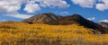 Wasatch mountain state park surrounded with fall foliage Royalty Free Stock Photo