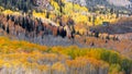 Wasatch mountain state park, Utah Royalty Free Stock Photo