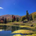 Wasatch Rocky Mountains on a bright fall day with pond and algae in the foreground and trees turning autumn colors in the backgrou Royalty Free Stock Photo