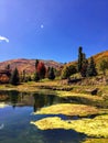 Wasatch Rocky Mountains on a bright fall day with pond and algae in the foreground and trees turning autumn colors in the backgrou Royalty Free Stock Photo