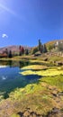 Wasatch Rocky Mountains on a bright fall day with pond and algae in the foreground and trees turning autumn colors in the backgrou Royalty Free Stock Photo