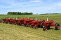 Row of antique Farmall red tractors