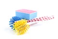 Wash brush and scouring pads