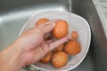 Wash the eggs, hand washing eggs on bowl at the sink clean chicken eggs fresh Royalty Free Stock Photo