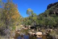 Seasonally Flowing Wash, Saguaro National Park, Arizona