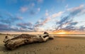 Beach Log Sunset Royalty Free Stock Photo