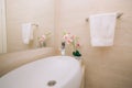 Washbasin in the bathroom. Plumbing in the bathroom. The interio Royalty Free Stock Photo