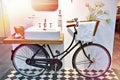 Washbasin and retro bicycle in bathroom Royalty Free Stock Photo