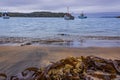 Washed ashore kelps at Lonneker Beach of Halfmoon Bay in Stewart Island or Rakiura, New Zealand.