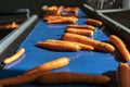 Washed Carrots Moving on Blue Conveyor Belt in Food Processing Plant Royalty Free Stock Photo