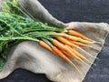 Washed carrots of various sizes stacked in a pile on a burlap background Royalty Free Stock Photo