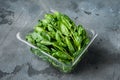 Washed fresh mini spinach on gray background in plastic pack