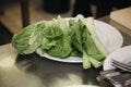 The washed leaves are fresh green salad on a white plate
