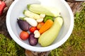 Washed organic tomatoes, eggplant aubergine, pepper, carrot, garlic and zucchini in plastic bowl