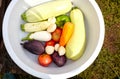 Washed organic tomatoes, eggplant aubergine, pepper, carrot, garlic and zucchini in plastic bowl Royalty Free Stock Photo
