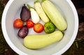 Washed organic tomatoes, eggplant aubergine, pepper and zucchini in plastic bowl