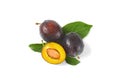 Washed plums Royalty Free Stock Photo