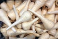 Washed raw parsnips.