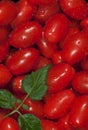 Washed Red Grape Tomatoes