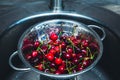 Washed ripe red cherries in a colander Royalty Free Stock Photo