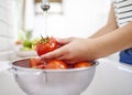 Washed seasonal tomatoes Royalty Free Stock Photo