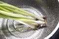 Washed spring onions in a stainless steel colander strainer utensil.