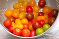 washed tomatoes in a colander Royalty Free Stock Photo