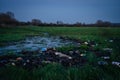 Washed up litter from flooded river, all over flood plain.