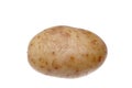 Washed White Potato