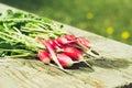 Washedup garden radish/washedup garden radish on an old wooden background