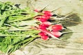 Washedup garden radish/washedup garden radish on an old wooden background, top view