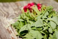 Washedup radish on wooden background/washedup radish on an old wooden background