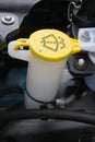 Washer fluid reservoir