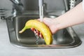 washing banana in the sink Royalty Free Stock Photo
