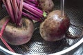 Washing beetroot in a metal colander drainer in a kitchen sink Royalty Free Stock Photo